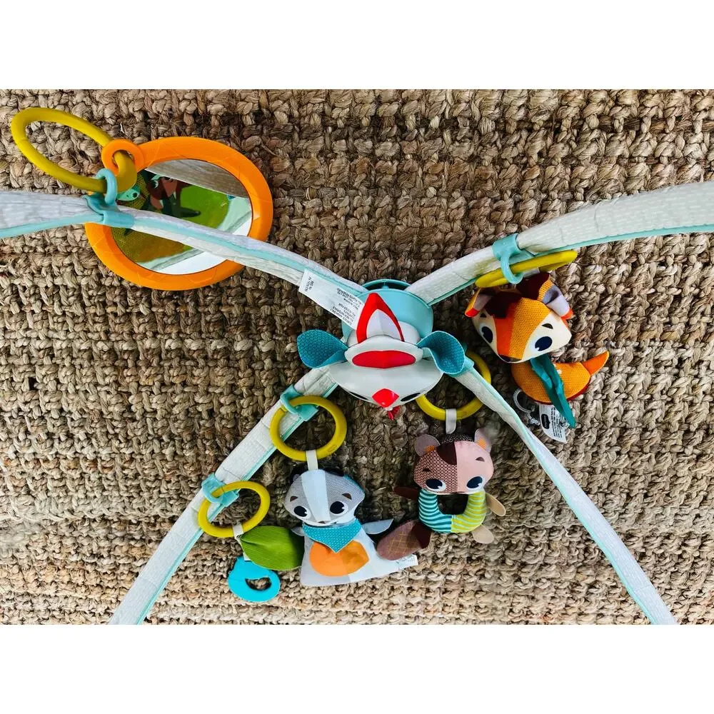 Tiny Love Into the Forest Play Gym
